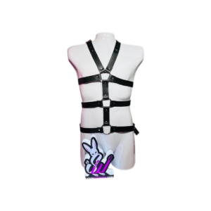 Arnés Cuerpo Completo